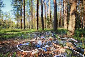 Don’t Harm Nature of Gilgit